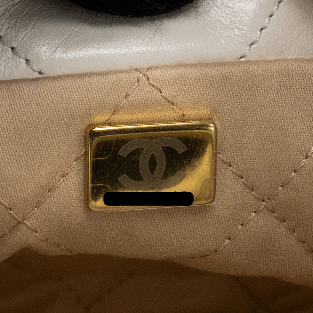 Chanel Mini 22 bag shiny calfskin white  (microchip)