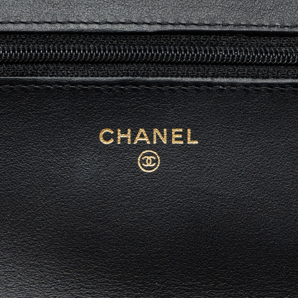 Chanel 2.55 Reissue Lucky Charms Wallet On Chain Aged Calfskin Black
