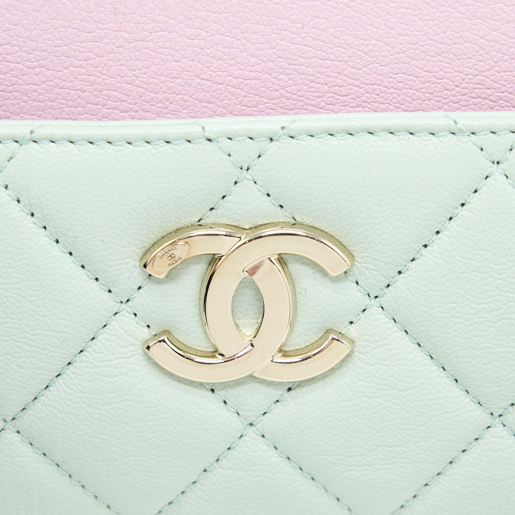 Chanel Small Camera Case Tricolour Goatskin Green Blue Pink L