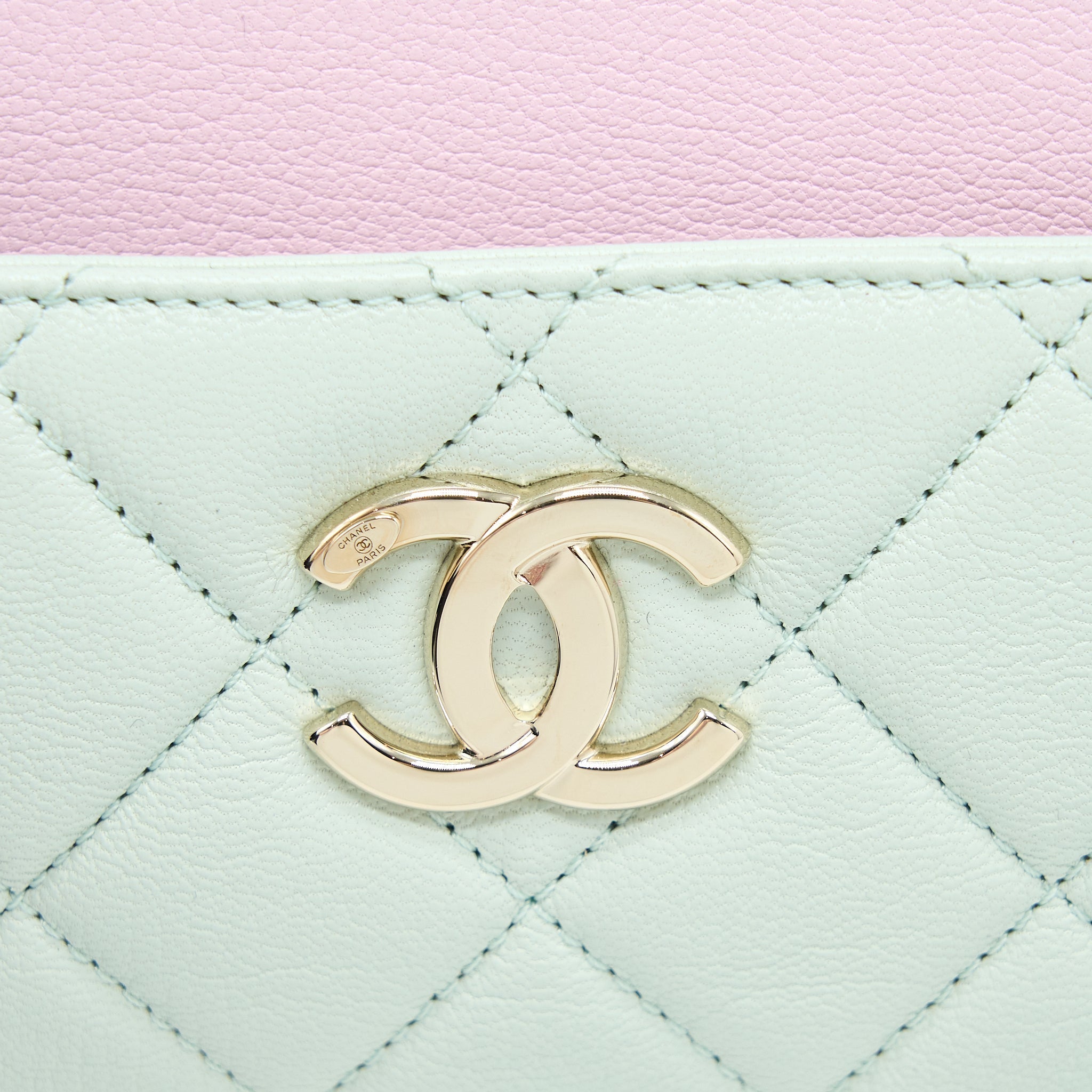 Chanel Small Camera Case Tricolour Goatskin Green Blue Pink L