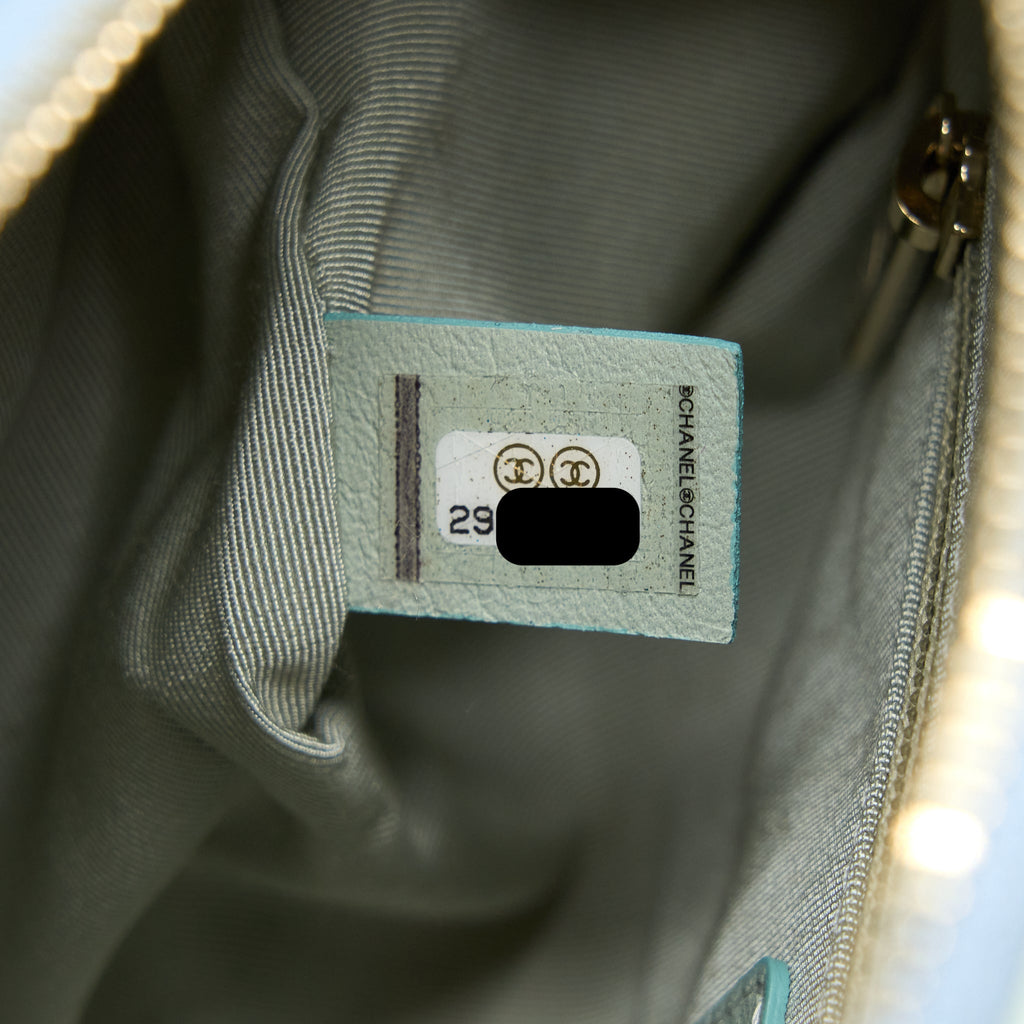 Chanel Small Camera Case Tricolour Goatskin Green Blue Pink L