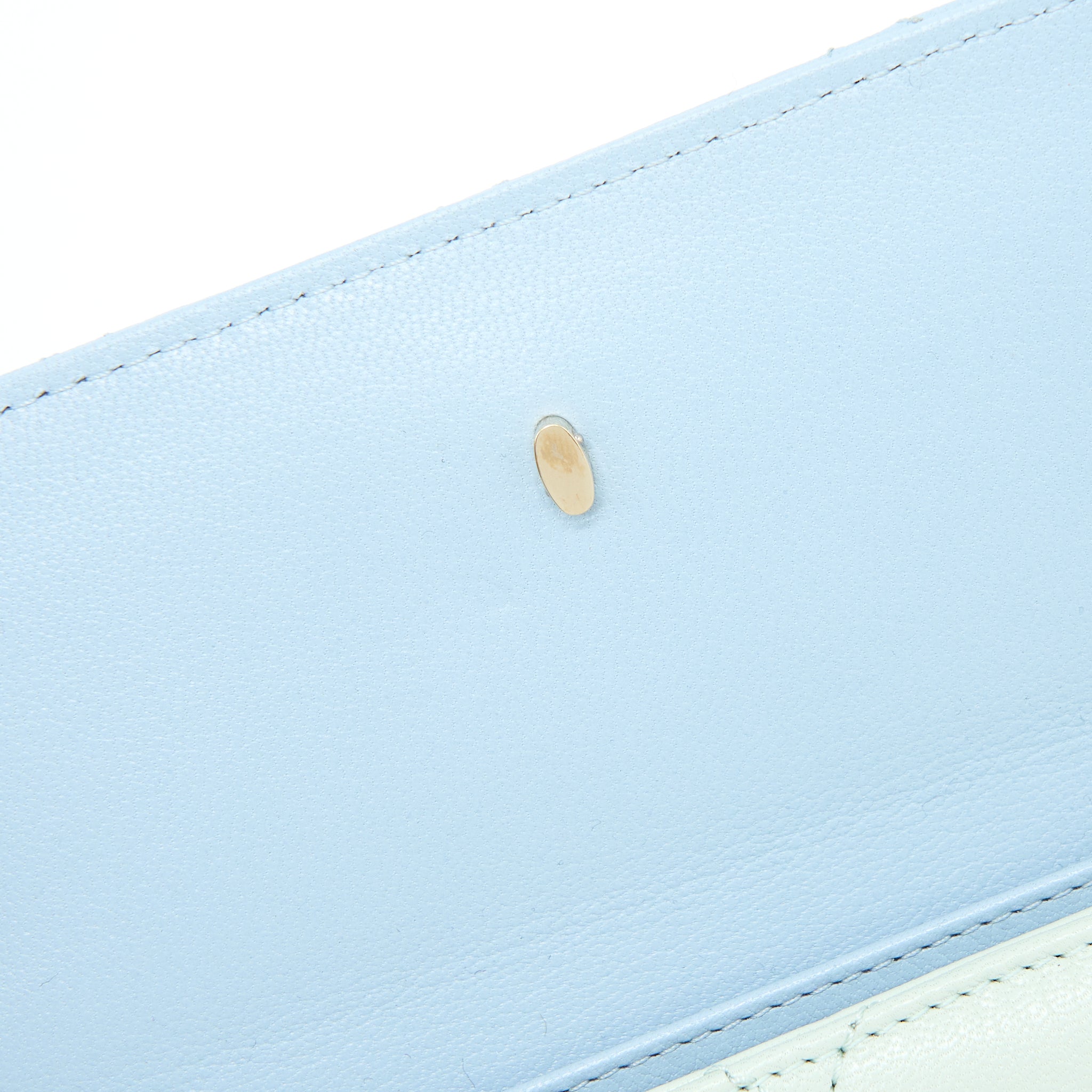 Chanel Small Camera Case Tricolour Goatskin Green Blue Pink L