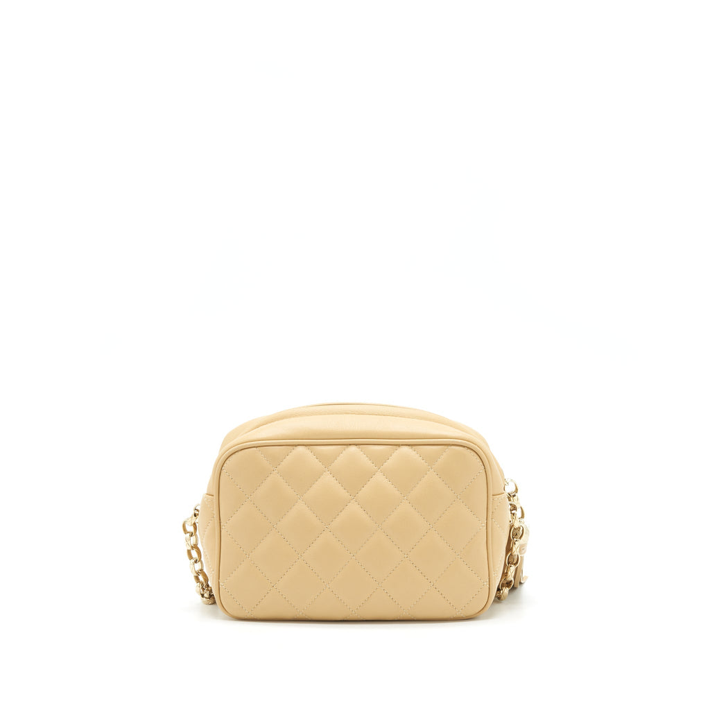 Chanel Camera Bag Lambskin Beige L