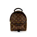 Louis Vuitton Palm Springs Backpack Mini