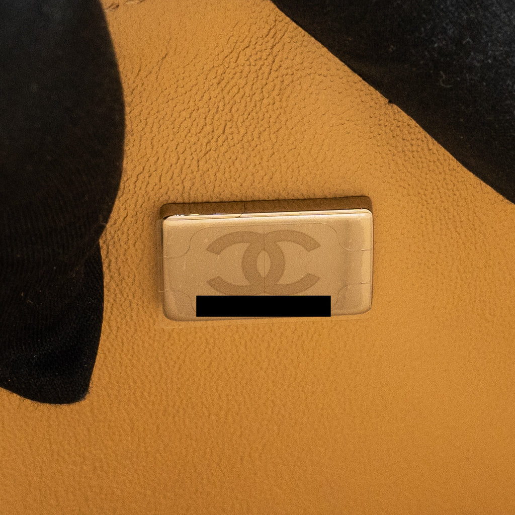 Chanel Small Classic Double Flap Bag Lambskin Beige  (Microchip)