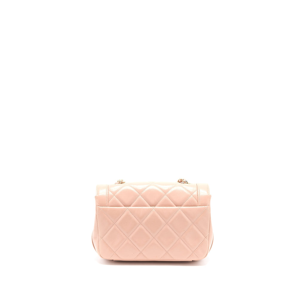 Chanel Seasonal Flap Bag Aged Calfskin Pink L