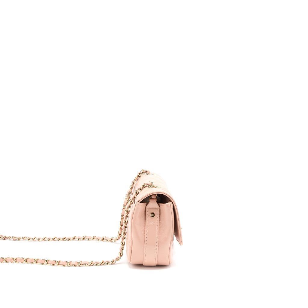 Chanel Seasonal Flap Bag Aged Calfskin Pink L