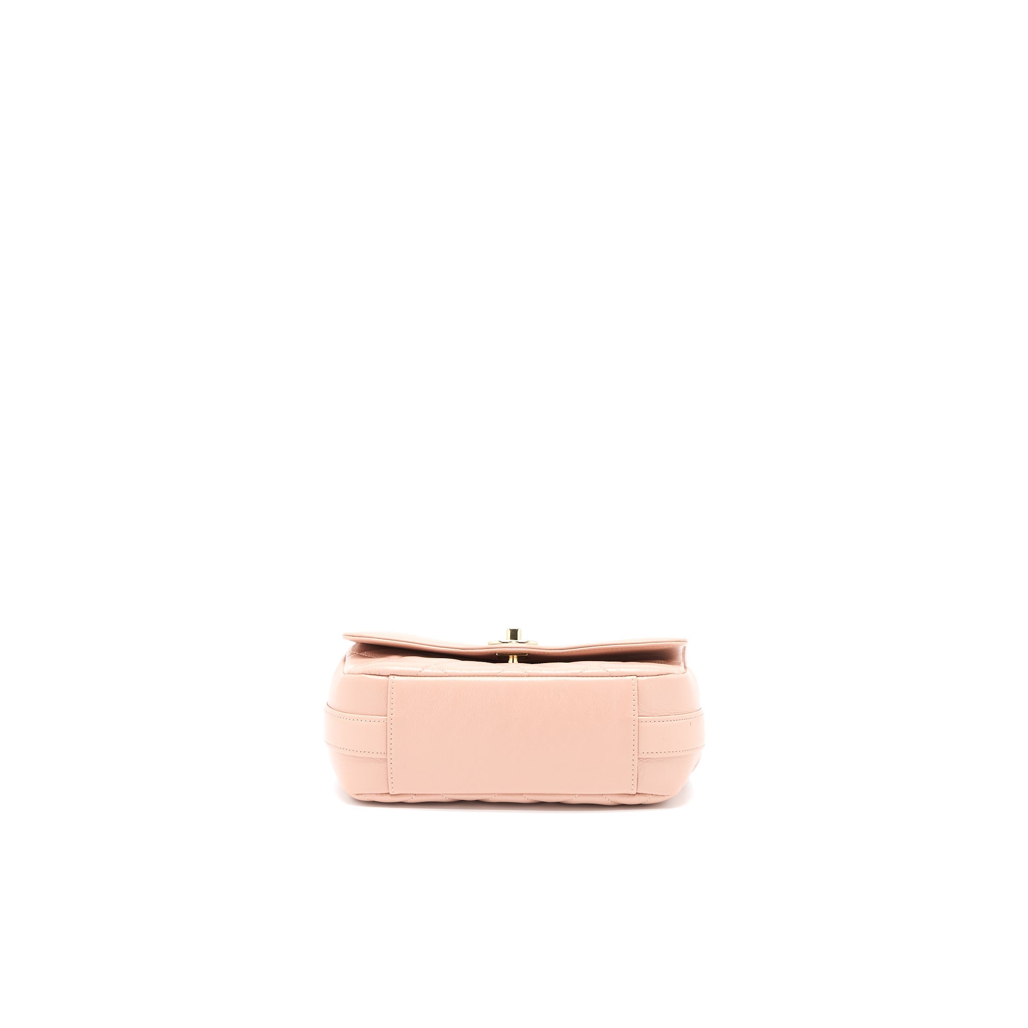 Chanel Seasonal Flap Bag Aged Calfskin Pink L