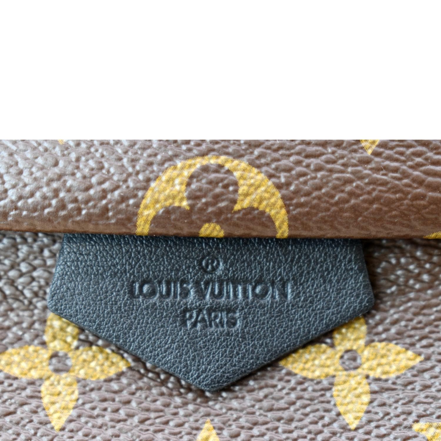 LOUIS VUITTON Palm Springs PM Monogram Canvas Backpack Brown