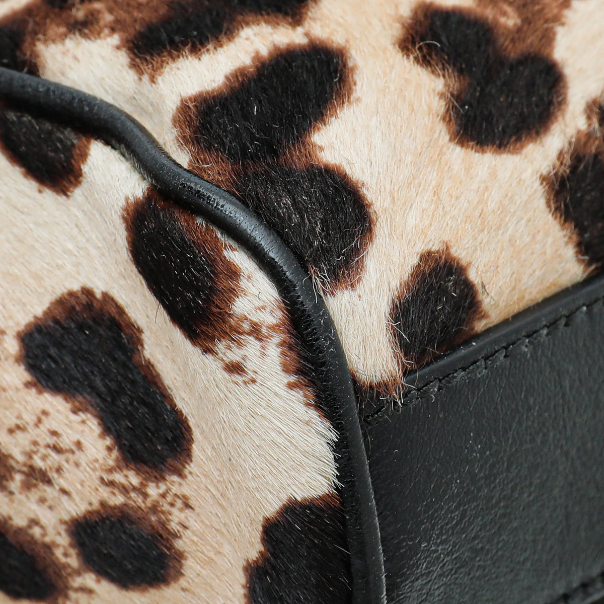Dolce & Gabbana Brown Leopard Calf Hair Miss Charles Bag
