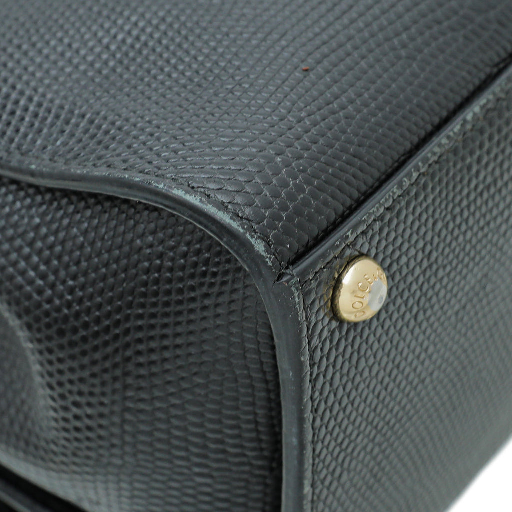 Dolce & Gabbana Black Iguana Print Miss Monica Small Bag
