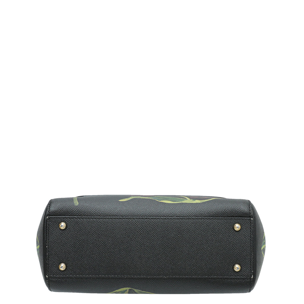 Dolce & Gabbana Black Dauphine Sicily Print Medium Bag