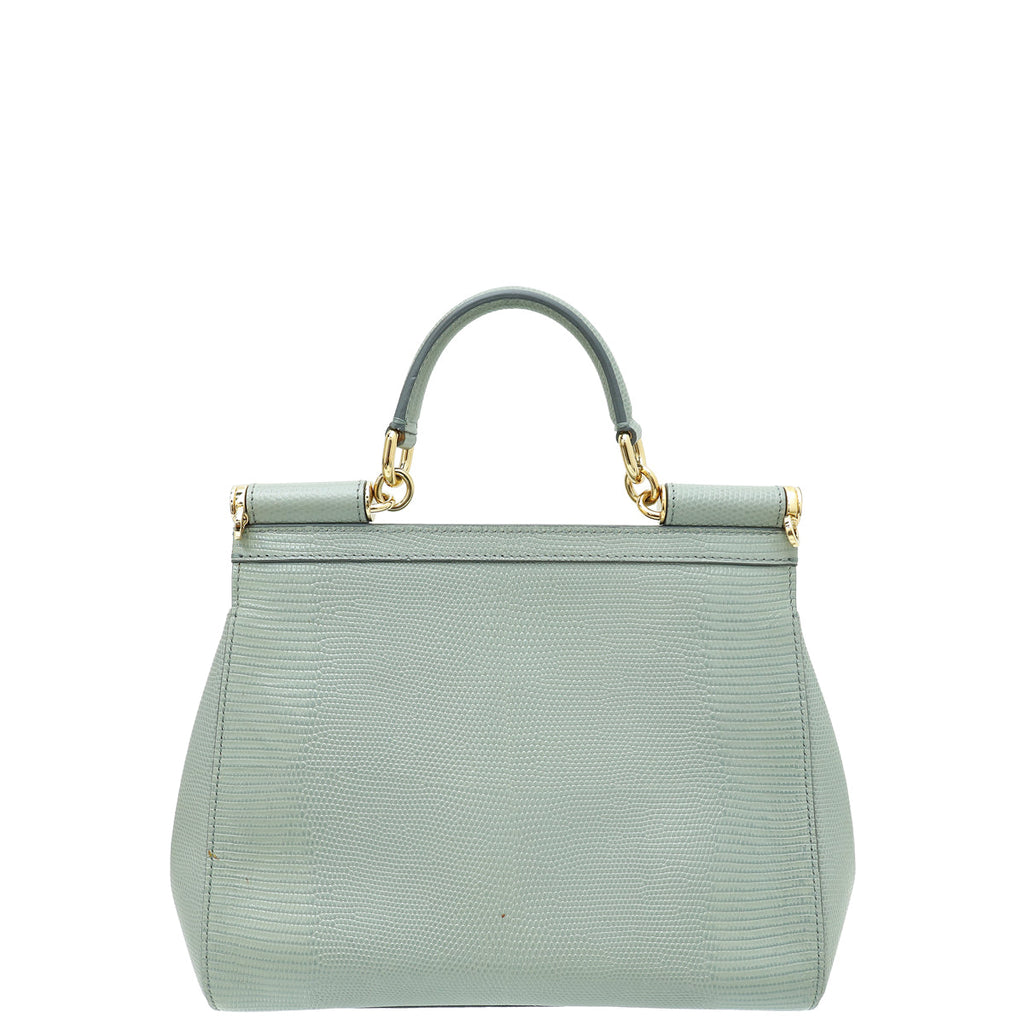 Dolce & Gabbana Gray Lizard Embossed DG Crystal Sicily Bag