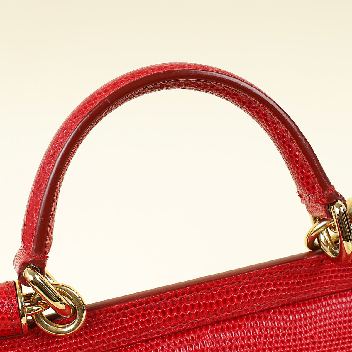 Dolce & Gabbana Red Lizard Sicily Bag