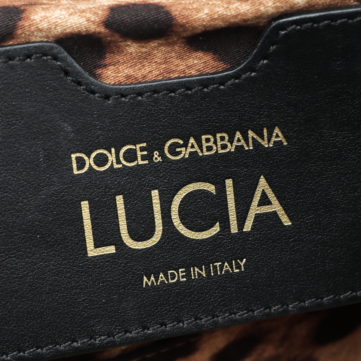 Dolce & Gabbana Black Multicolor Velvet Lucia Falp Chain Bag