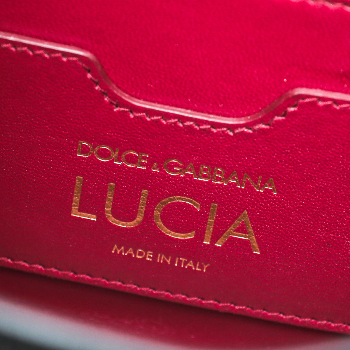 Dolce & Gabbana Black Iguana Print Lucia Bag