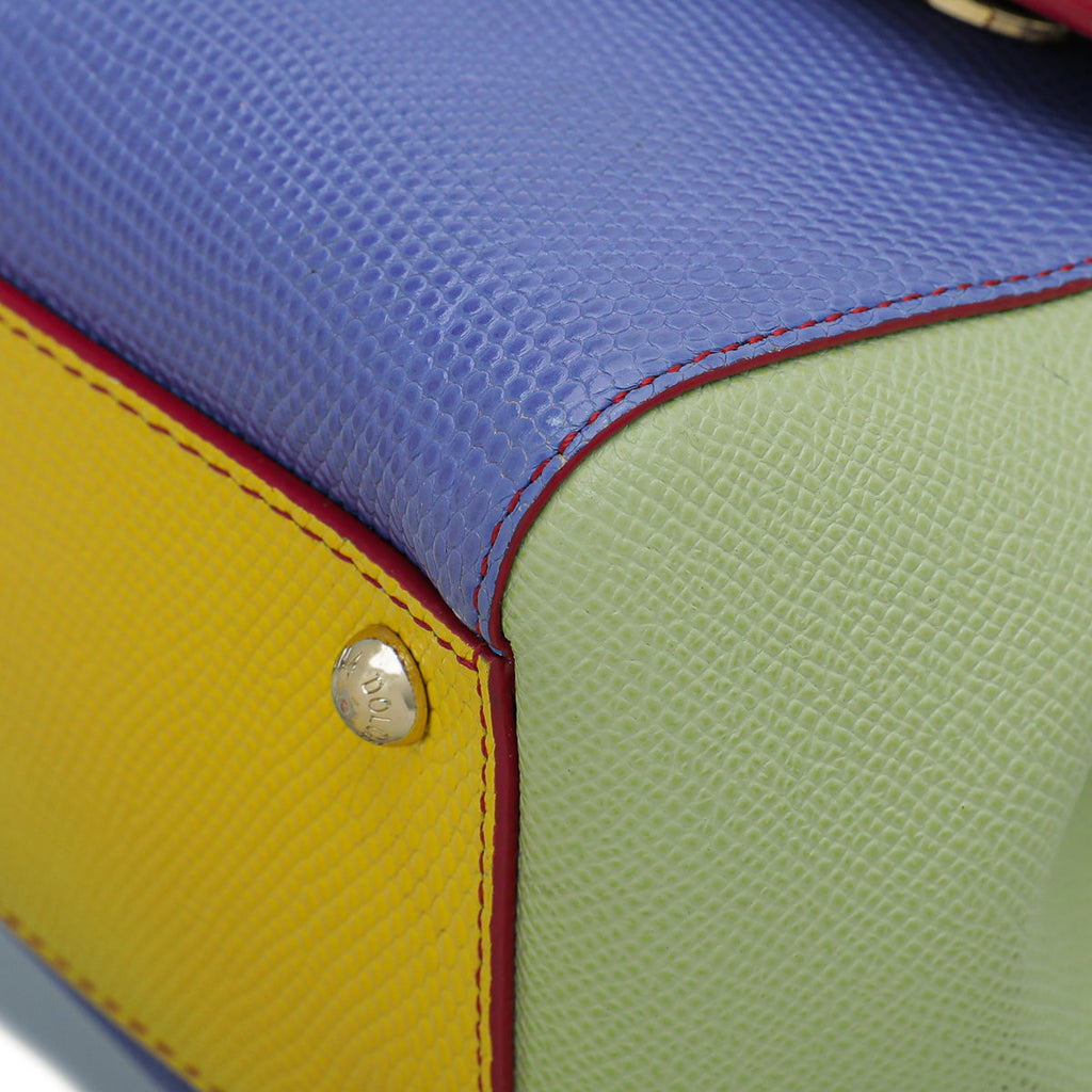Dolce & Gabbana Multicolor Lizard Print Sicily Medium Bag