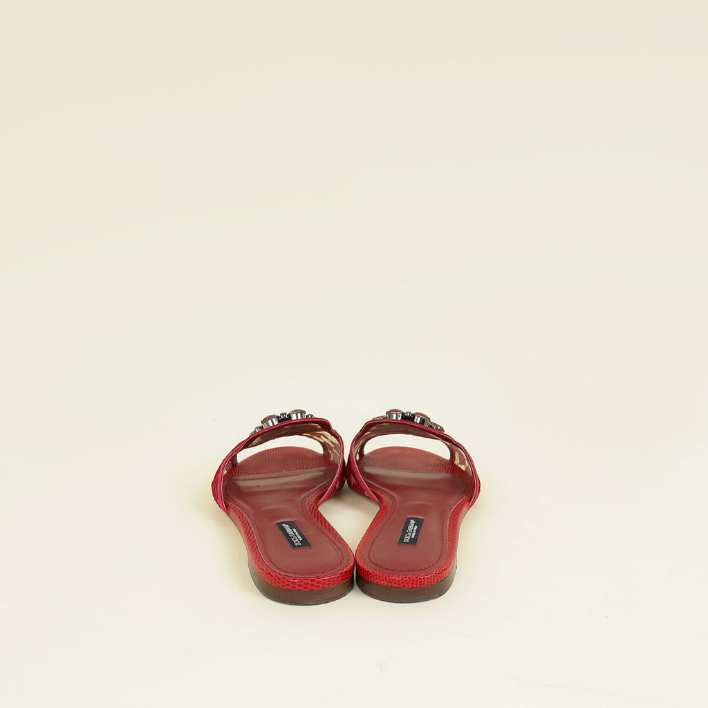 Dolce & Gabbana Red Bellucci Slide Flat Sandals 37.5