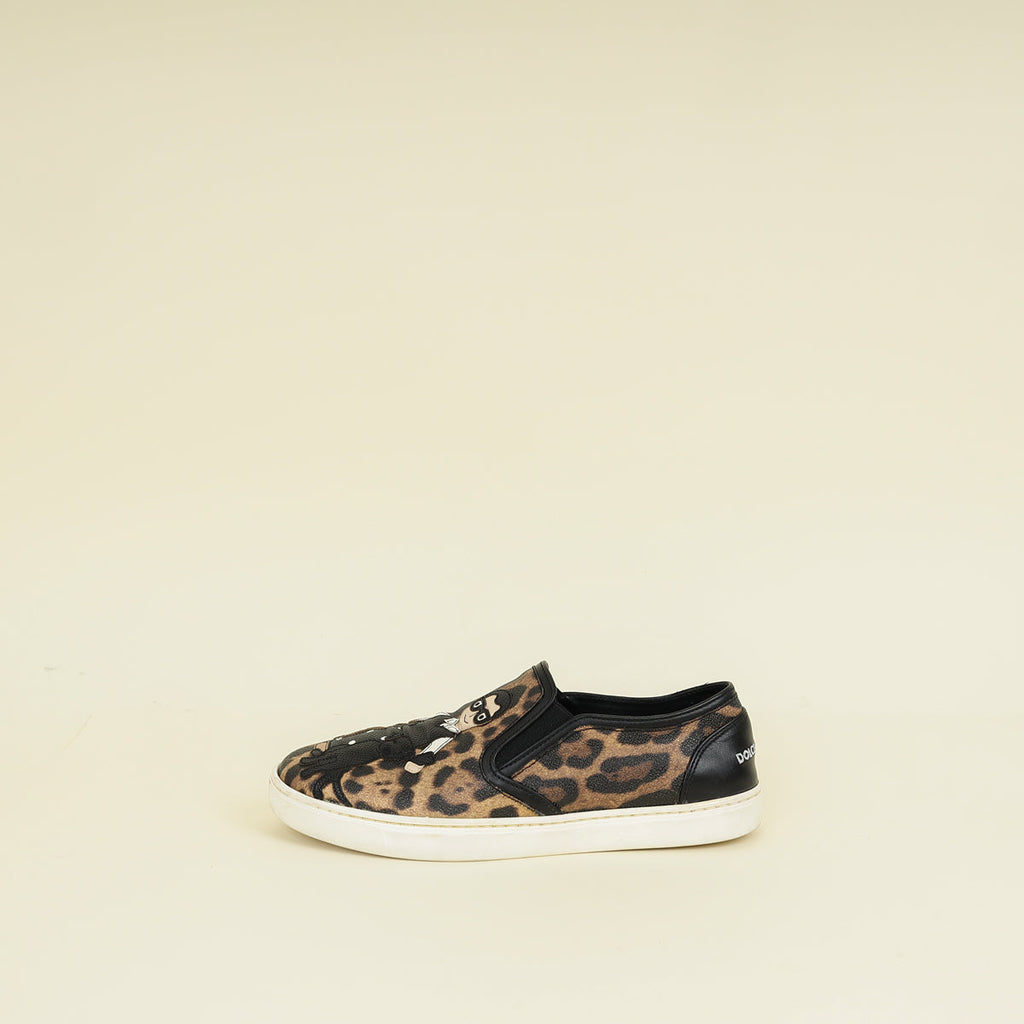 Dolce & Gabbana Brown DG Family Slip On Leopard Print Sneakers 39