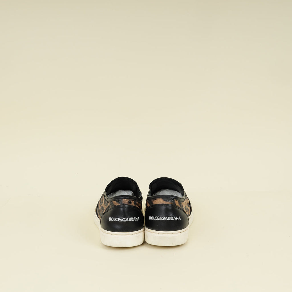 Dolce & Gabbana Brown DG Family Slip On Leopard Print Sneakers 39