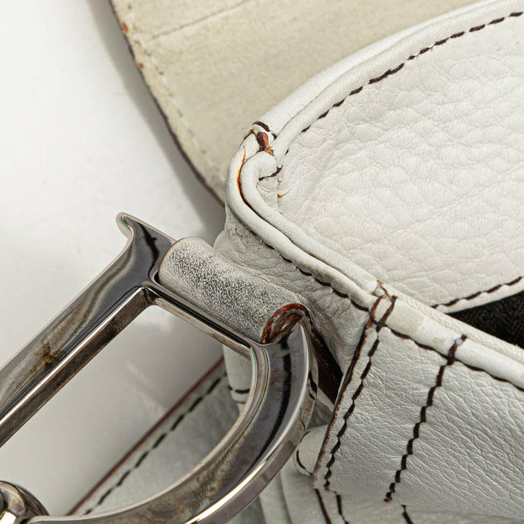 Dior Calfskin Double Saddle Crossbody