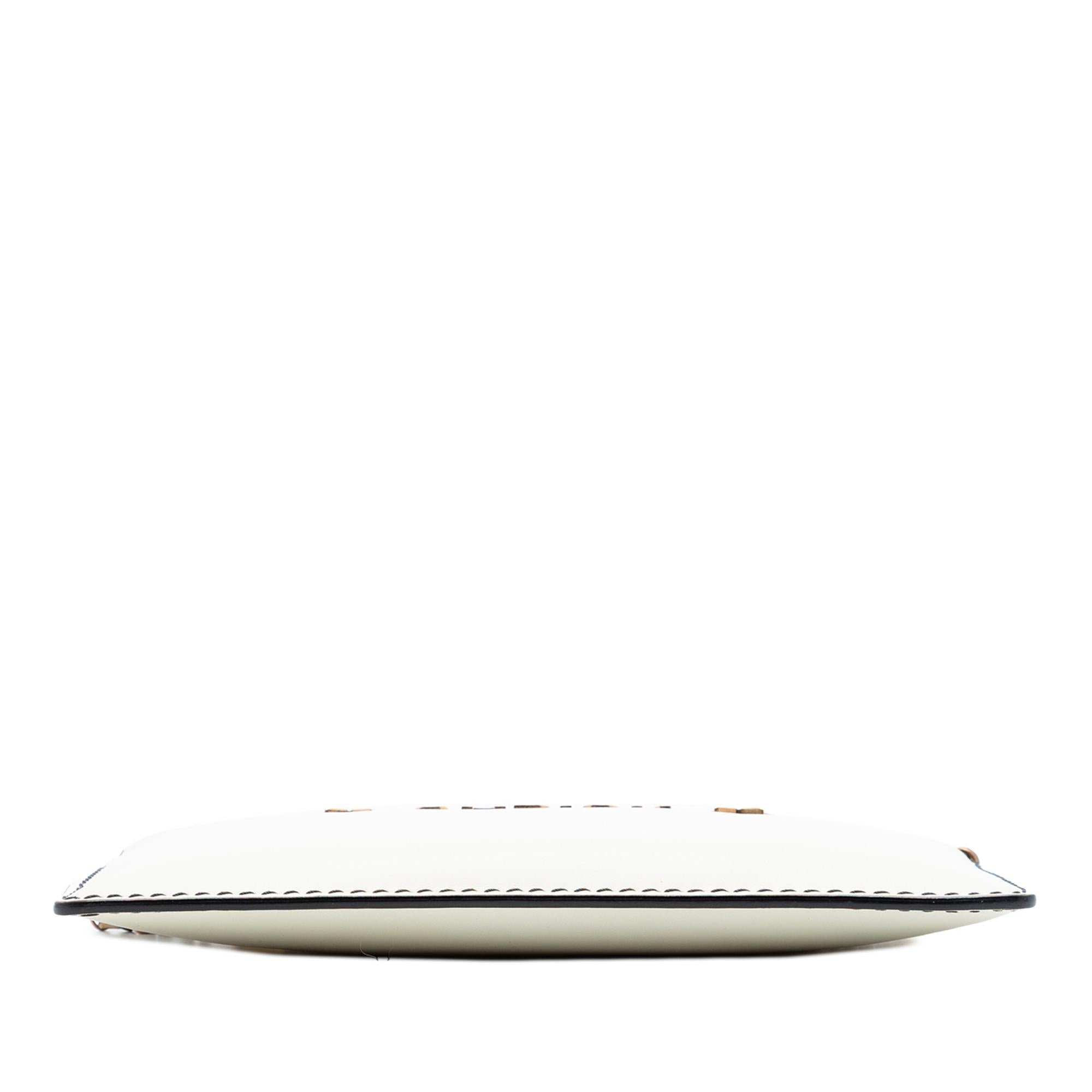 Dior Calfskin JAdior Croisiere Chain Pouch