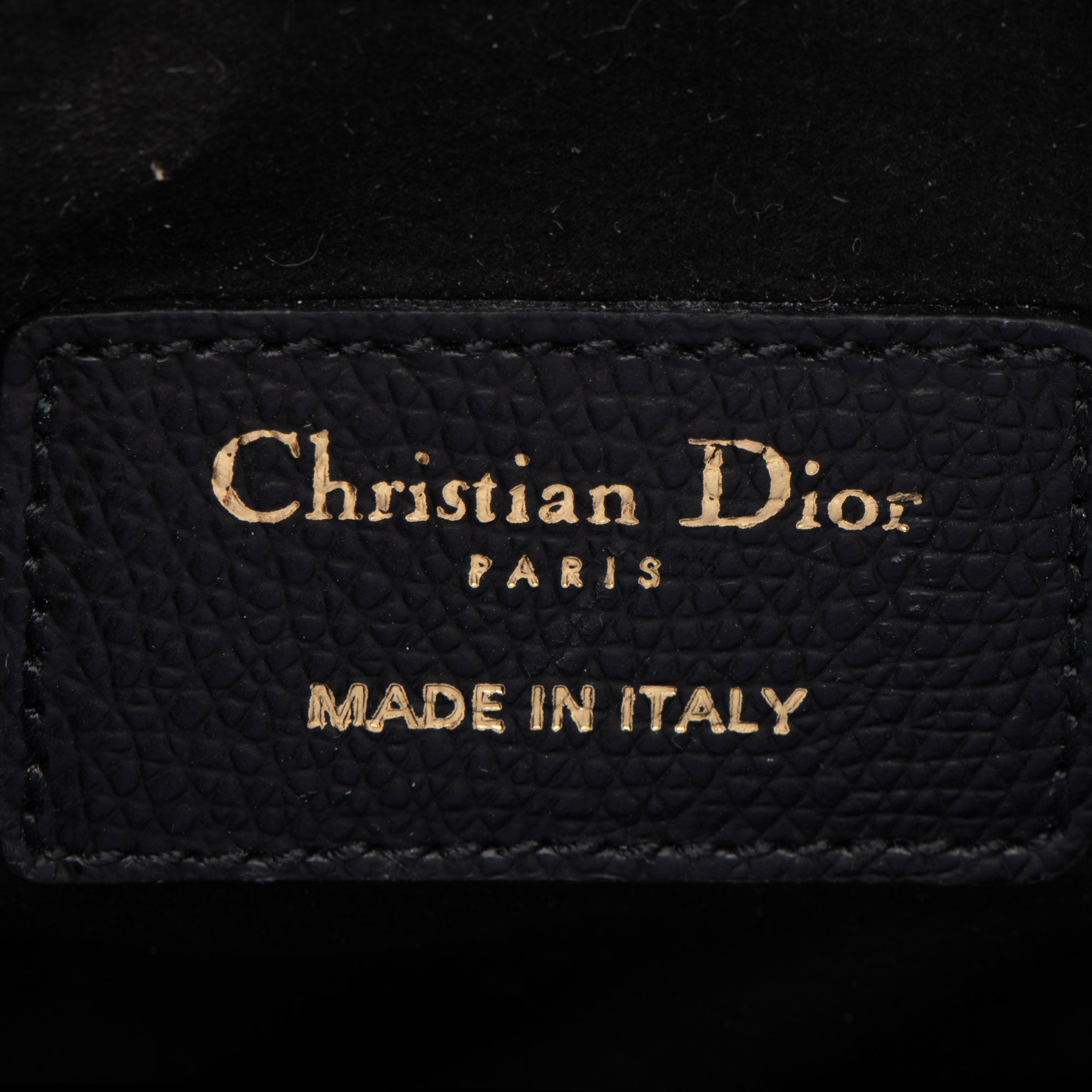 Dior Grained Calfskin Saddle Mini Bag