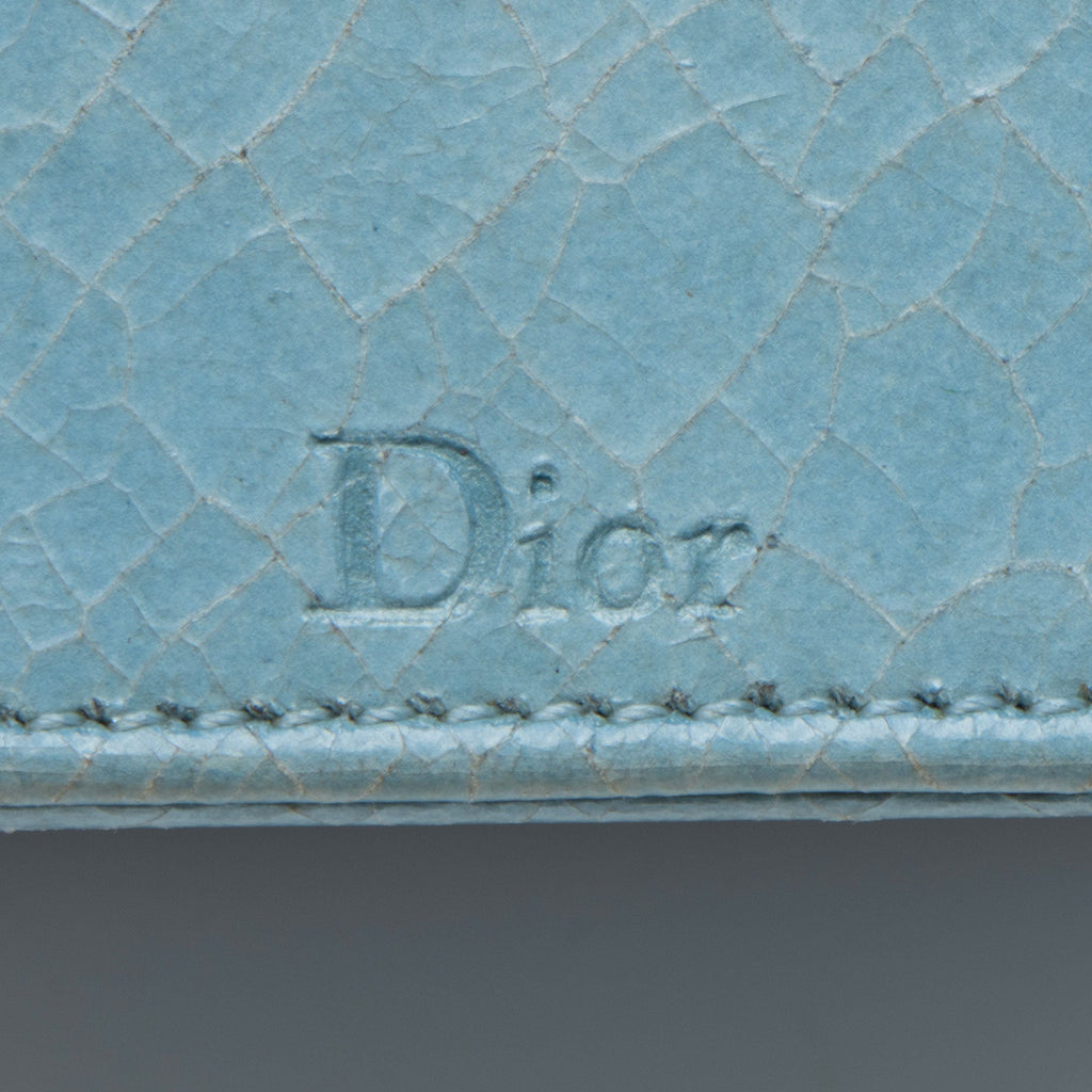 Dior Crackled Deerskin Diorama Baby Shoulder Bag