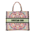 Dior Cruise Large Lights Embroidered Multicolor Canvas Book Tote (SHG-aorY1I)