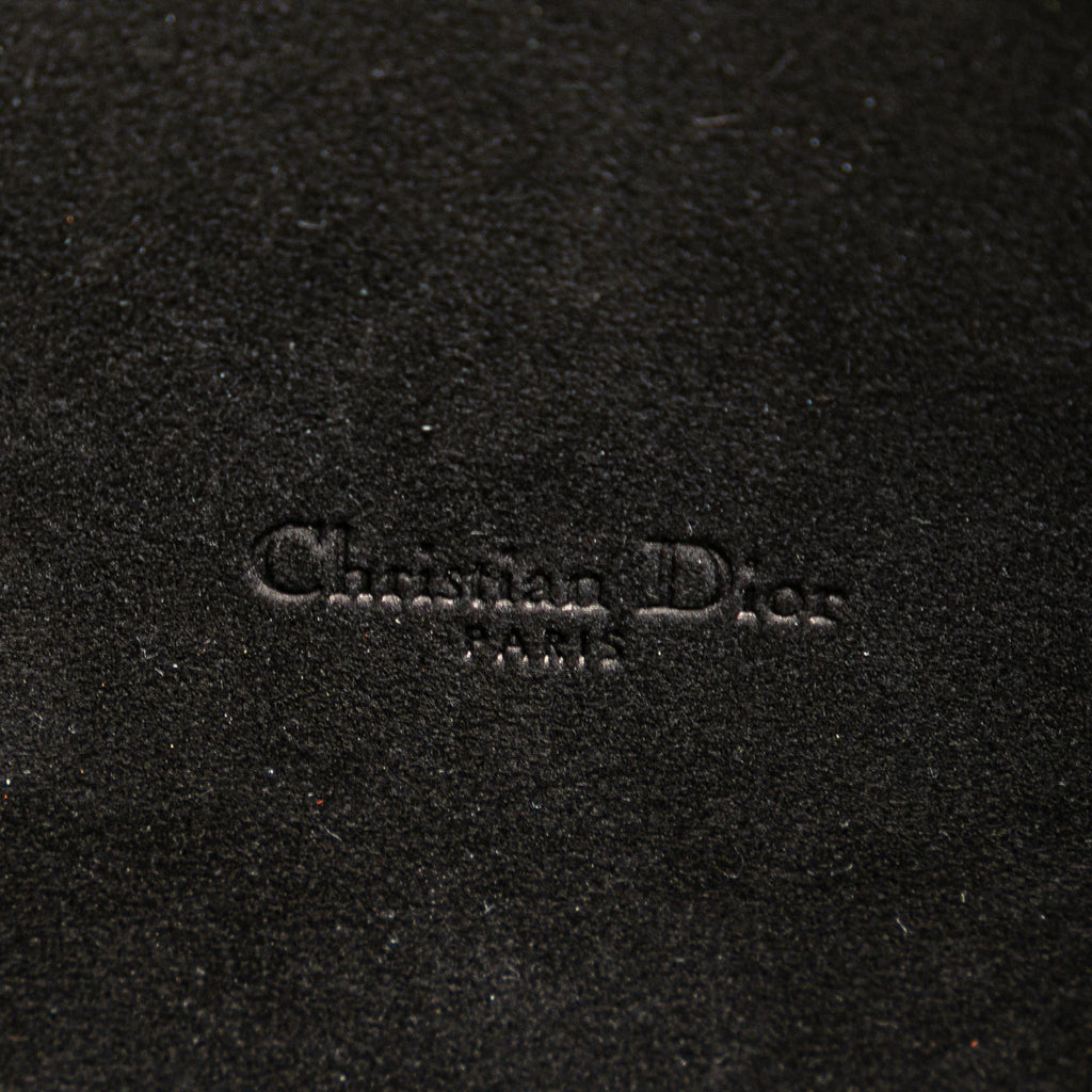 Dior Grained Calfskin Caro Double Pouch (SHG-evu93G)