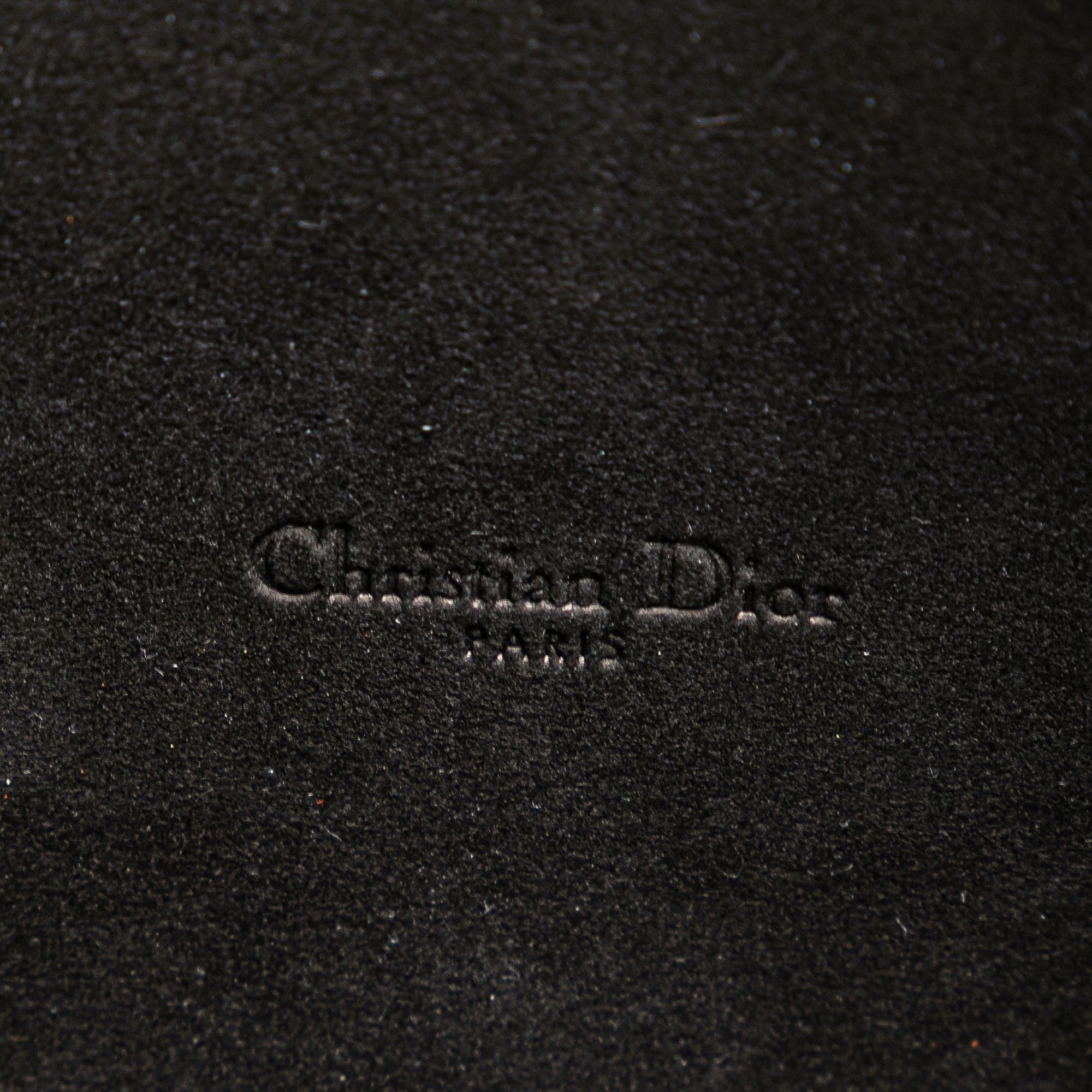 Dior Grained Calfskin Caro Double Pouch (SHG-evu93G)