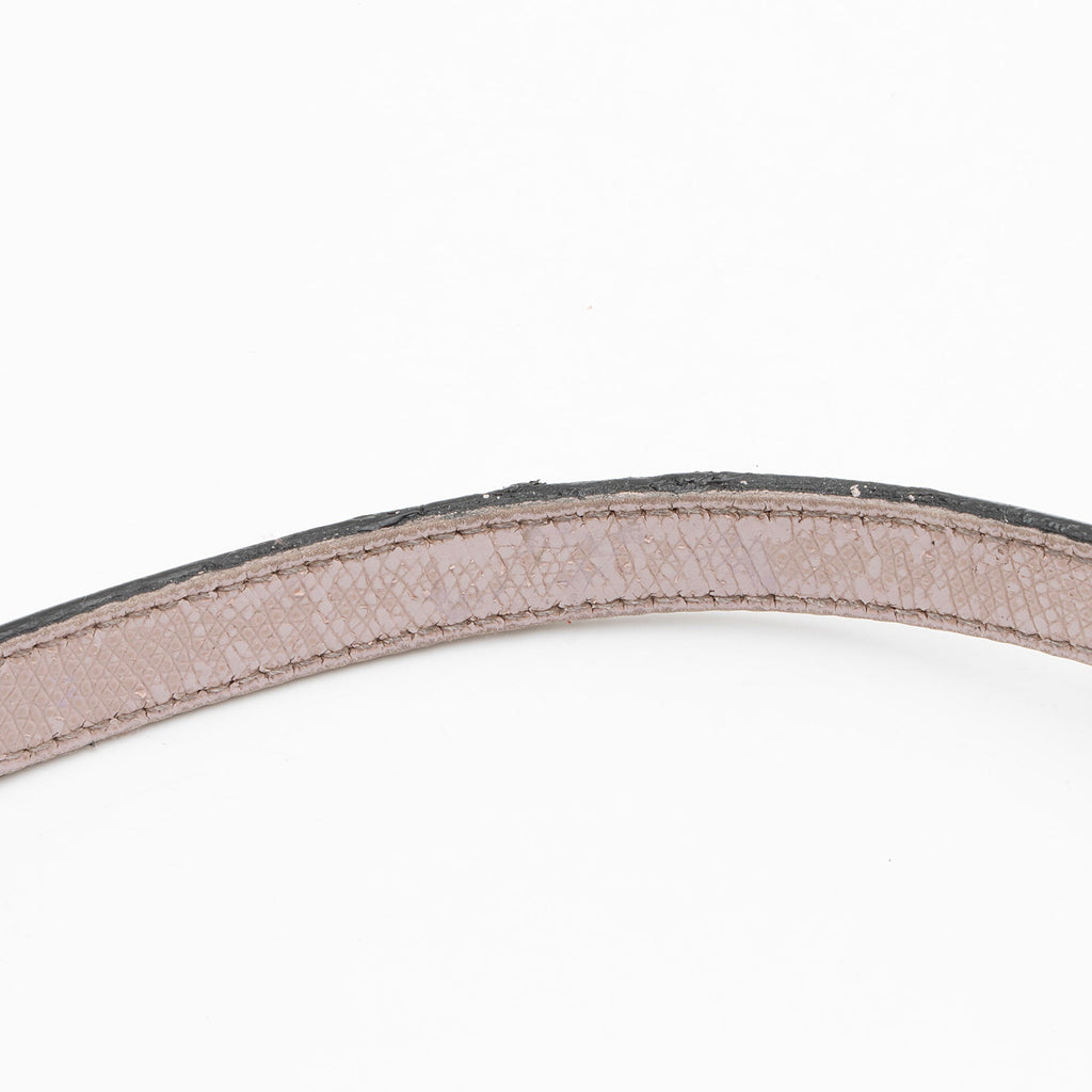 Dior Grained Calfskin Saddle Mini Bag