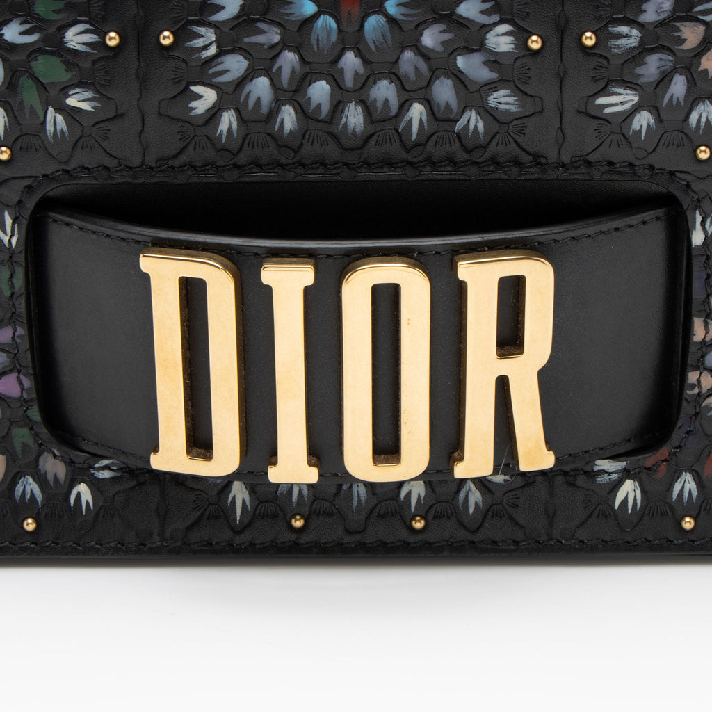 Dior Grained Calfskin Studded Floral Dio(r)evolution Flap Bag (SHF-yW1Jb4)