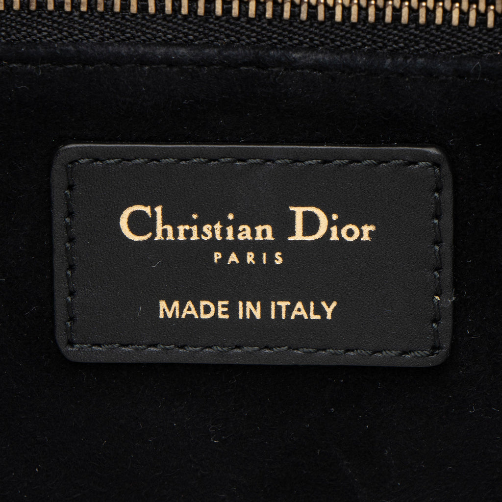 Dior Grained Calfskin Studded Floral Dio(r)evolution Flap Bag (SHF-yW1Jb4)