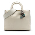 Dior Large Canyon Grained Lambskin Lady Dior