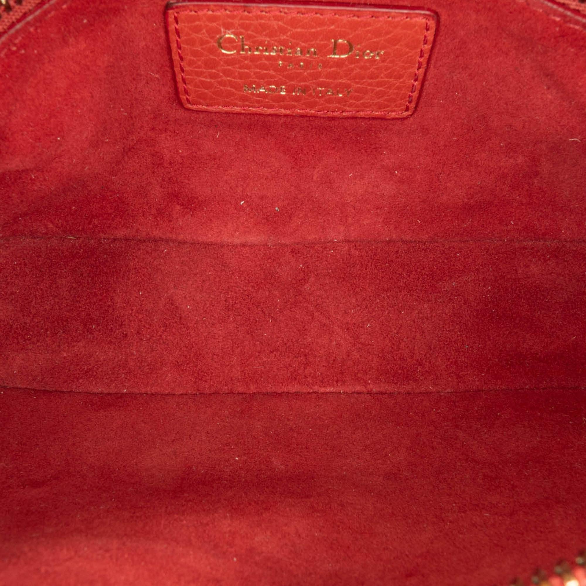 Dior Leather JAdior Camera Bag