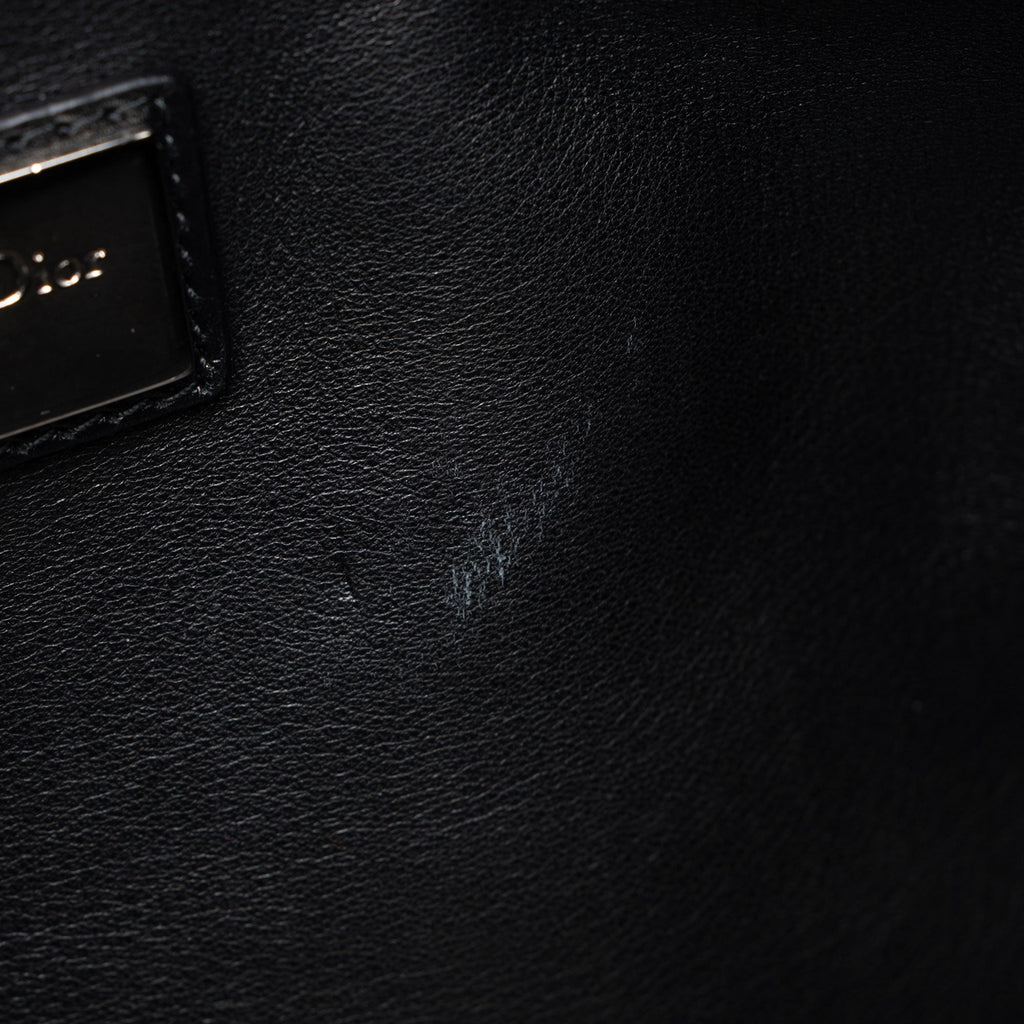 Dior Limited Edition Canvas Anselm Reyle Polochon Satchel