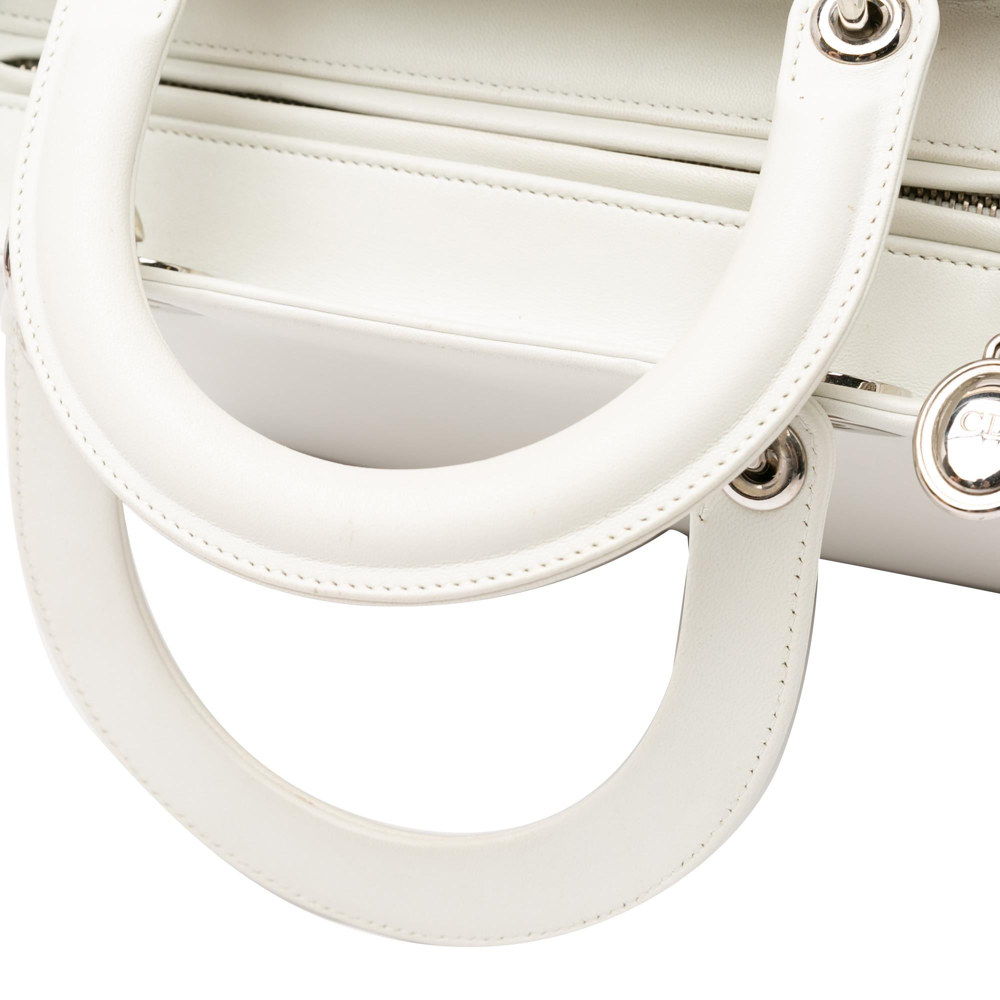 Dior Medium Calfskin Dragonfly Embellished Lady Dior (SHG-XVLoP4)
