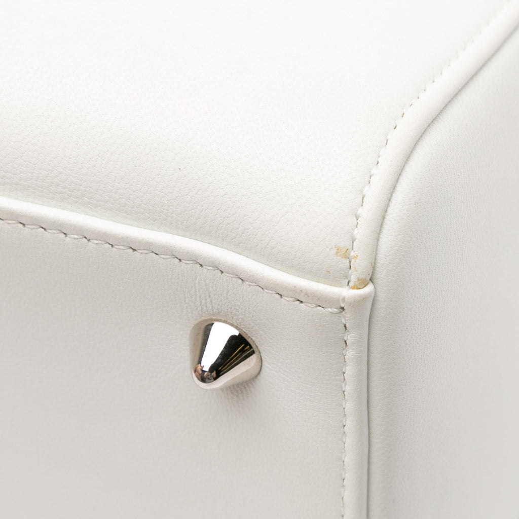 Dior Medium Calfskin Dragonfly Embellished Lady Dior (SHG-XVLoP4)