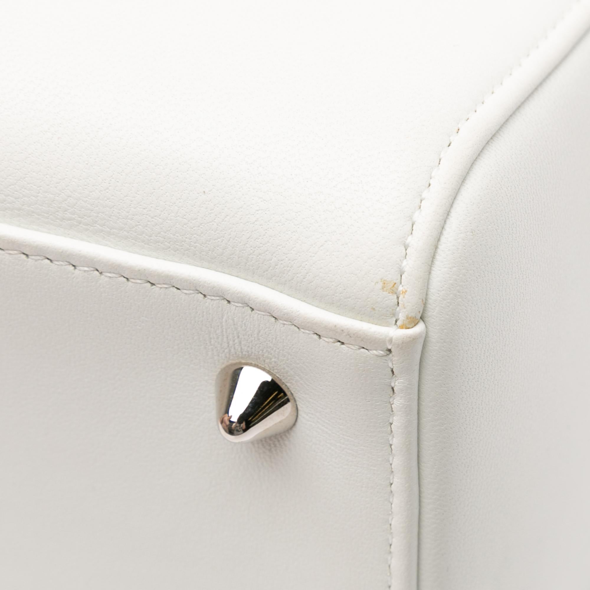 Dior Medium Calfskin Dragonfly Embellished Lady Dior (SHG-XVLoP4)