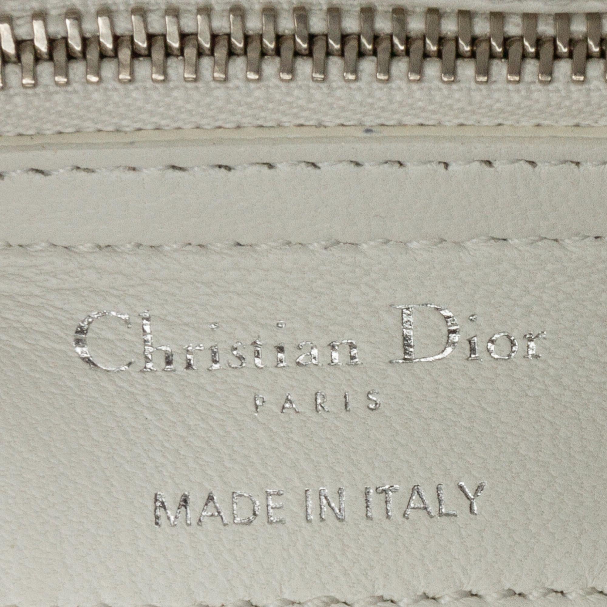 Dior Medium Calfskin Dragonfly Embellished Lady Dior (SHG-XVLoP4)