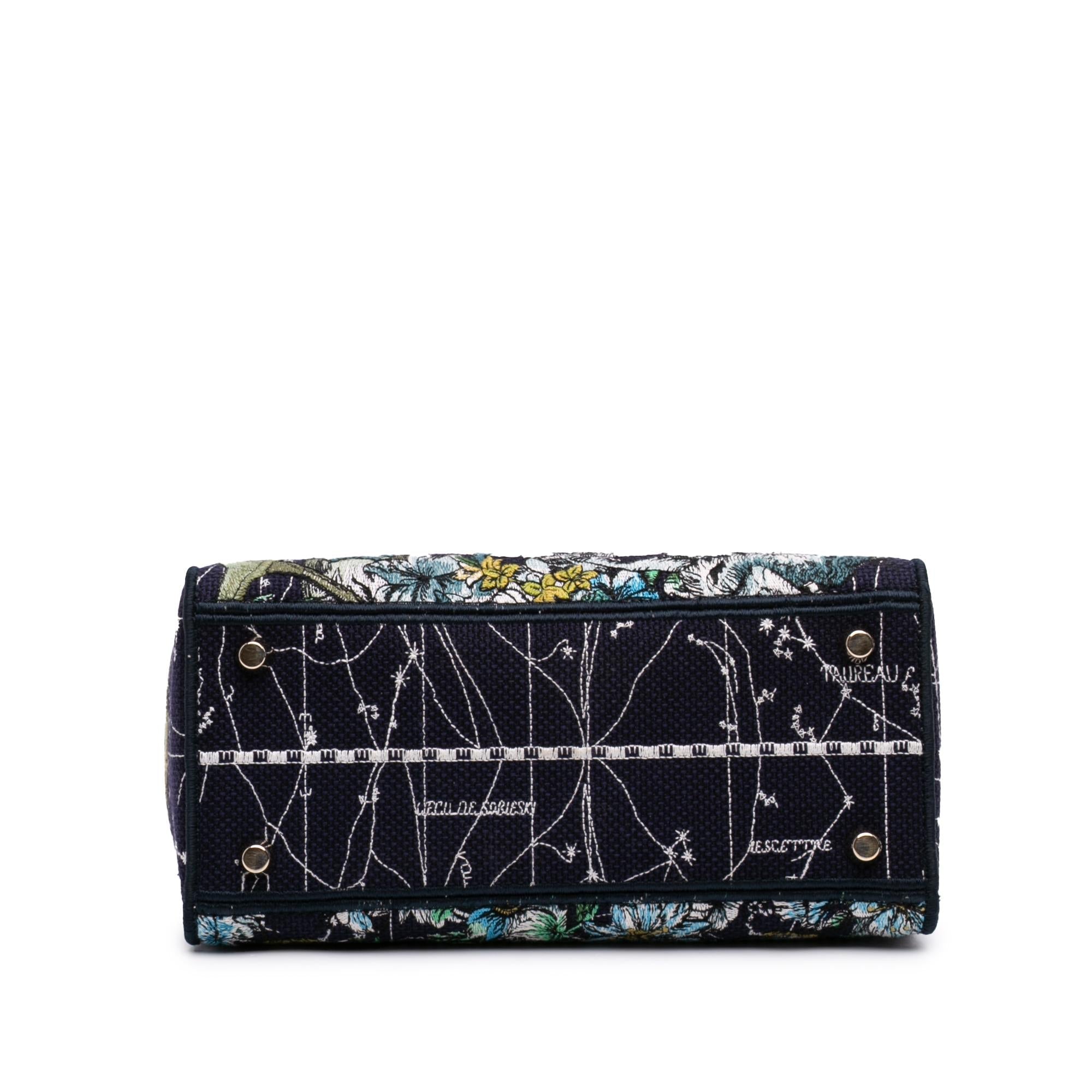 Dior Medium Embroidered Canvas Zodiac Lady D Lite