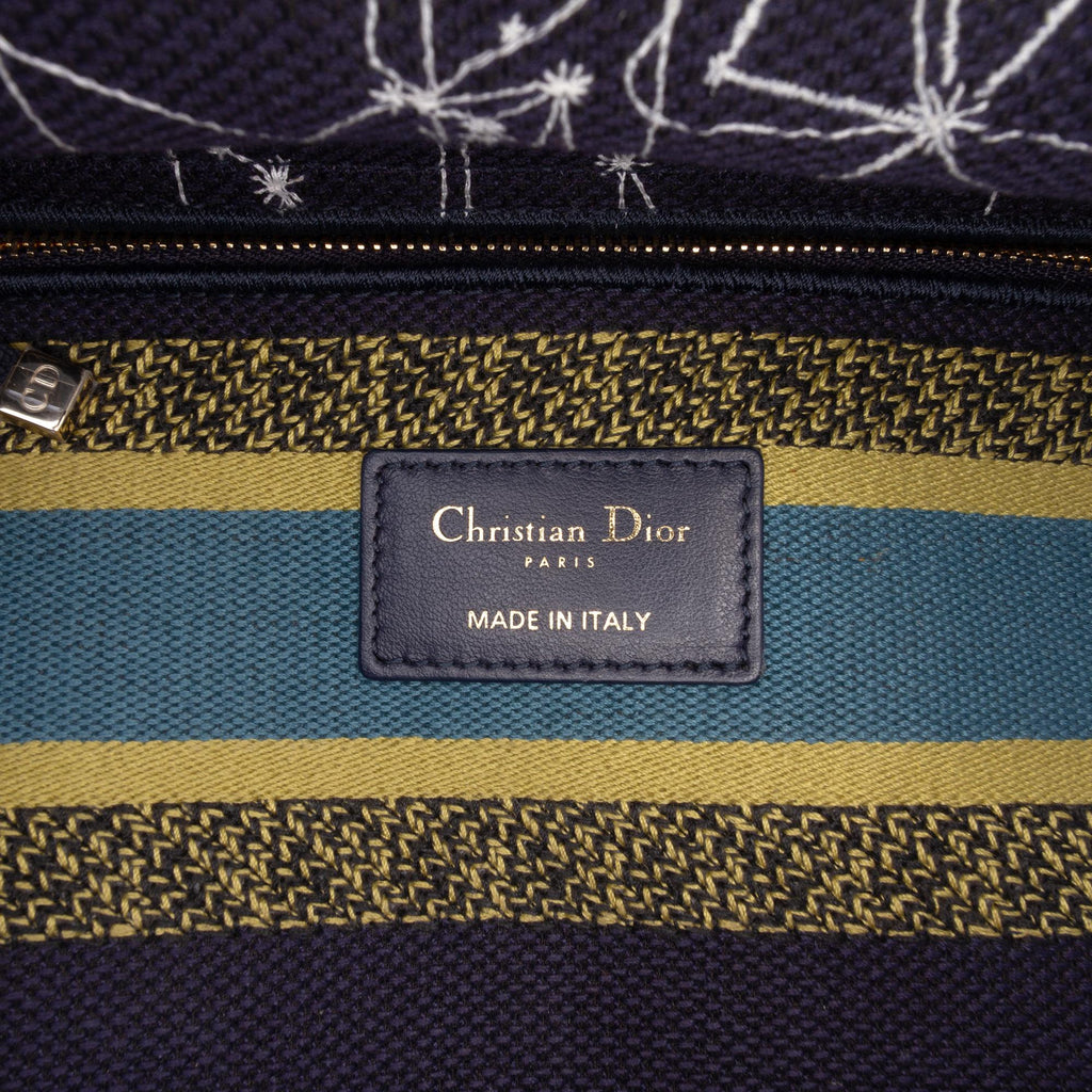 Dior Medium Embroidered Canvas Zodiac Lady D Lite
