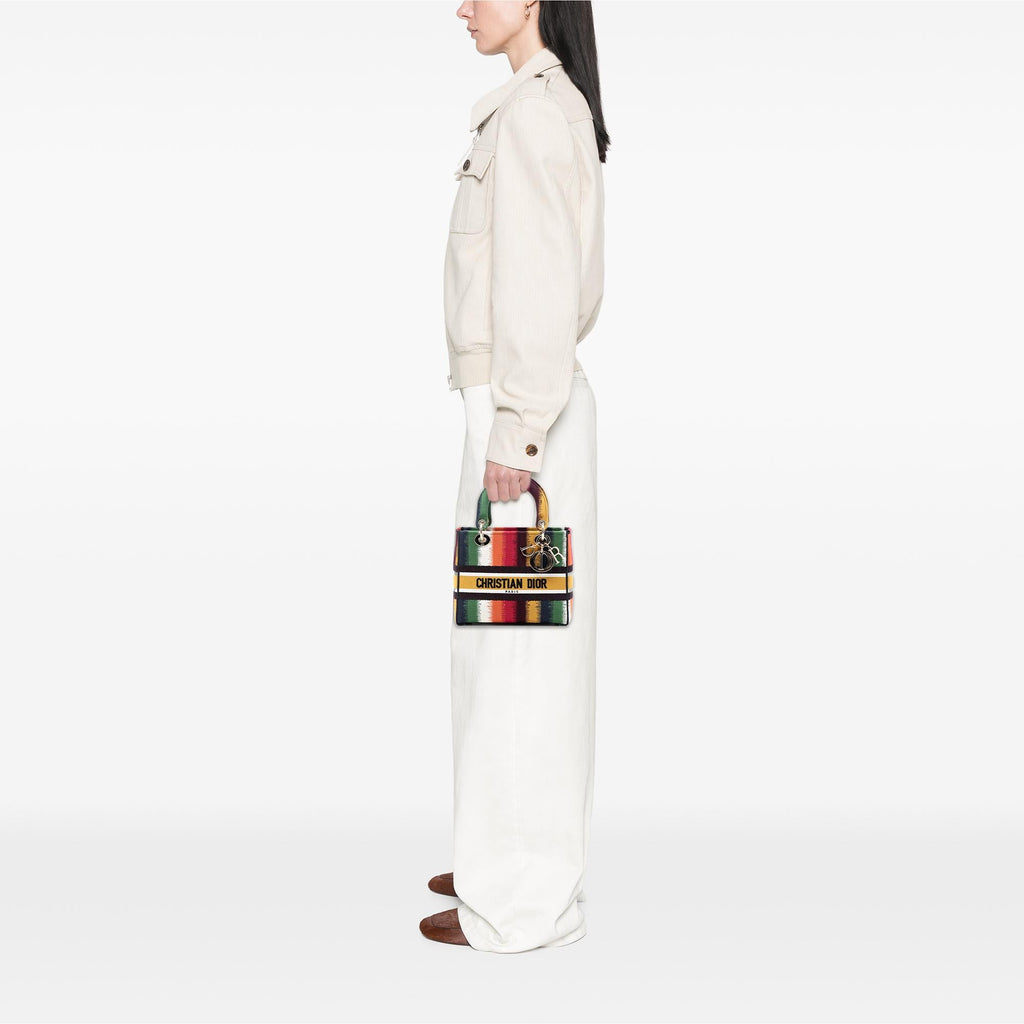 Dior Medium Embroidered Multicolor Canvas Striped Lady D Lite