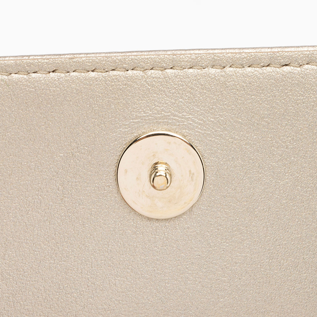 Dior Metallic Calfskin Diorama Wallet on Chain Bag (SHF-rpZnj7)