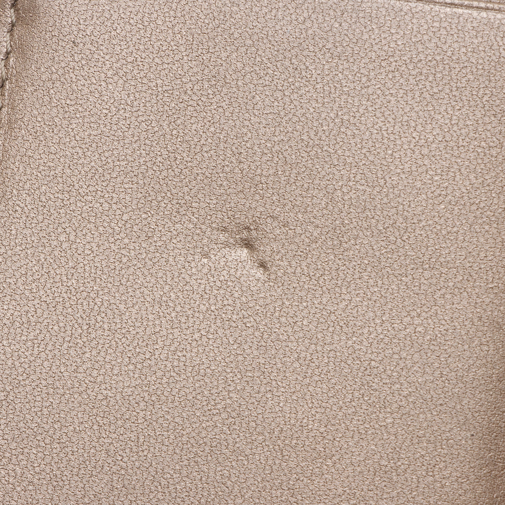 Dior Metallic Calfskin Lady Dior Lotus Wallet