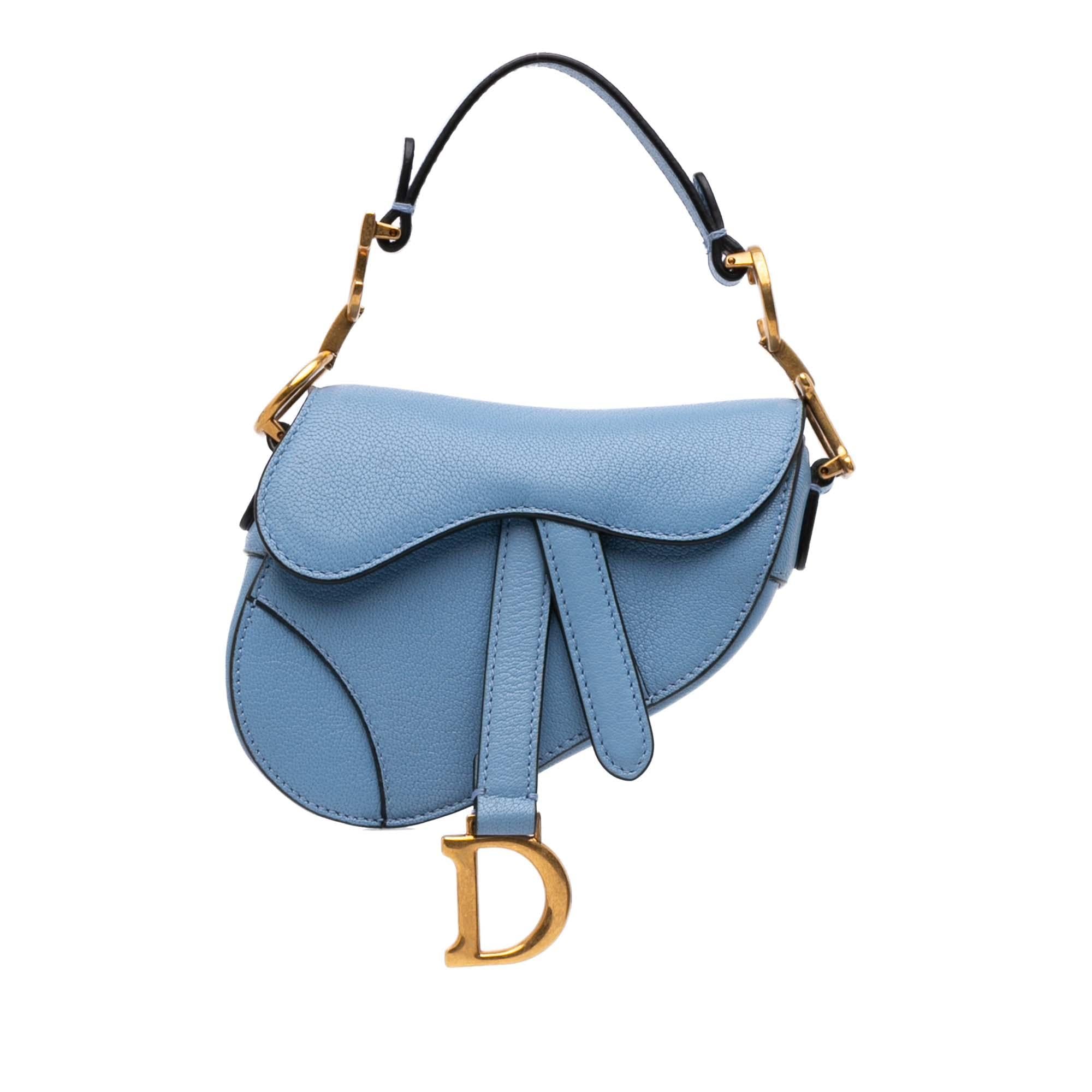 Dior Micro Goatskin Saddle