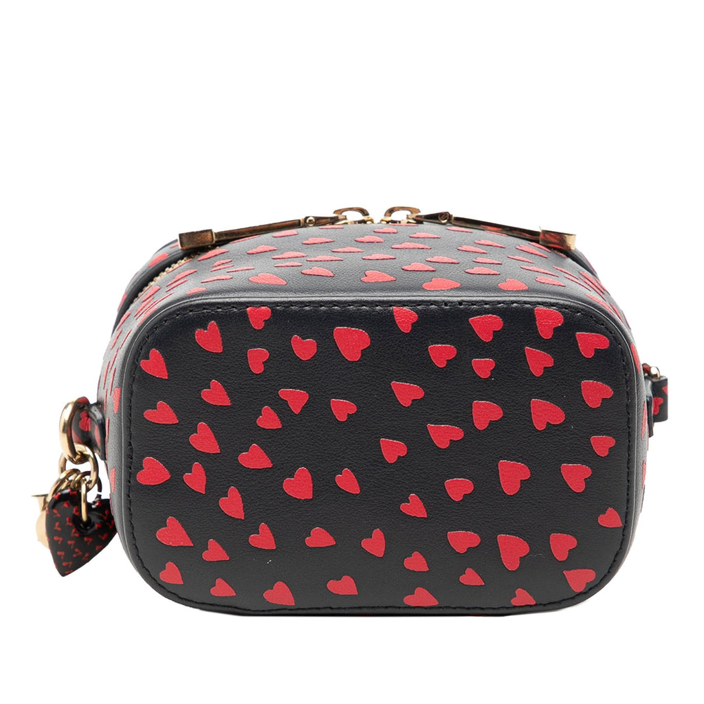 Dior Micro Lambskin Heart Print Lady Dior Vanity Case