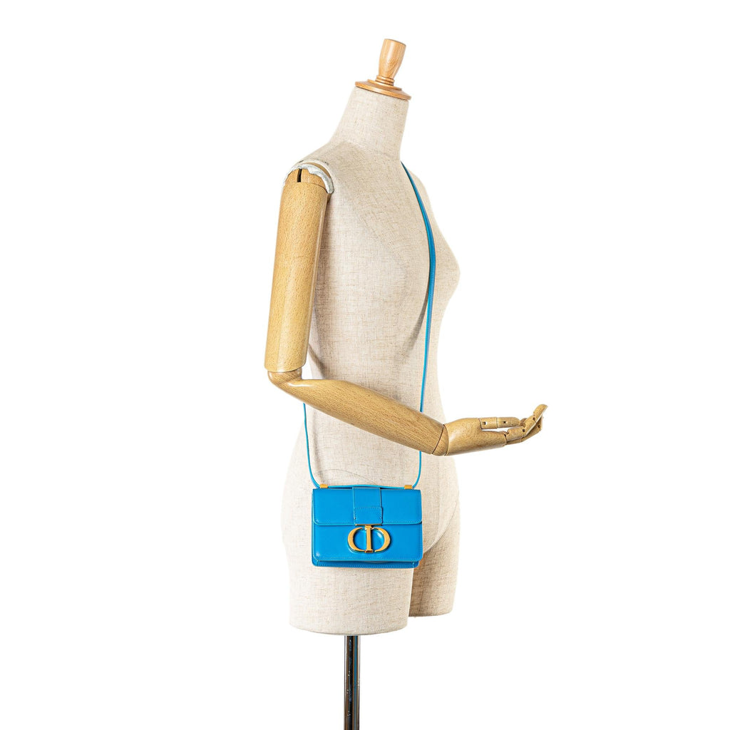 Dior Micro Smooth Calfskin 30 Montaigne Flap (SHG-cCSSc0)
