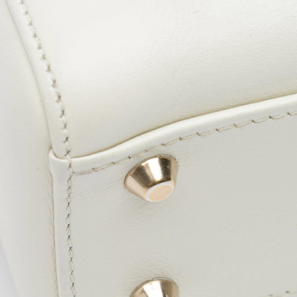 Dior Niki De Saint Phalle Mini Calfskin Dioramour Lady Dior (SHG-bPGexj)